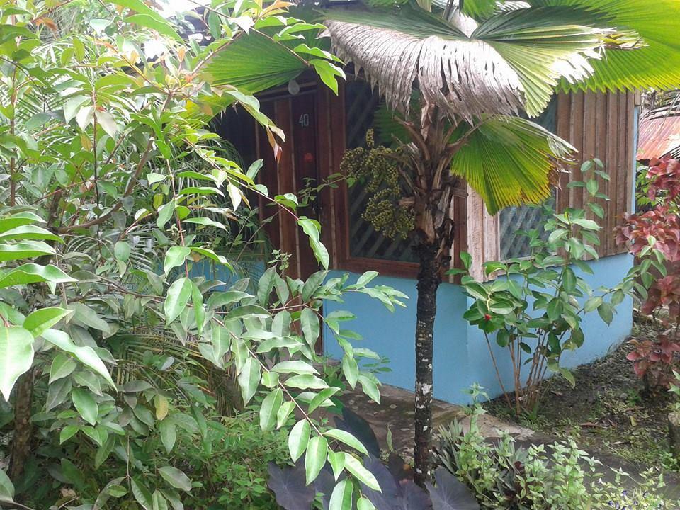 Hotel Puerto Viejo Puerto Viejo de Talamanca 外观 照片