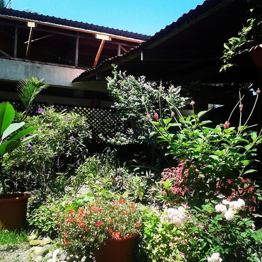 Hotel Puerto Viejo Puerto Viejo de Talamanca 外观 照片
